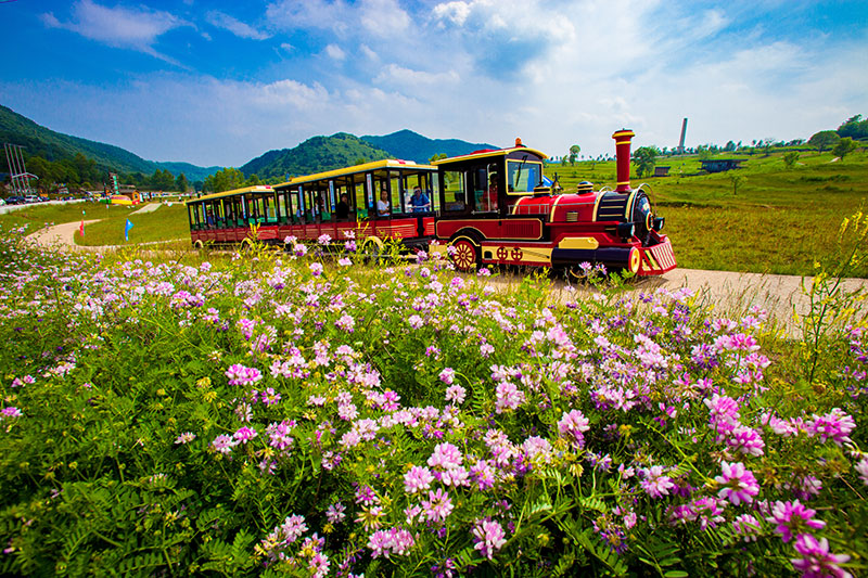 小火車.jpg